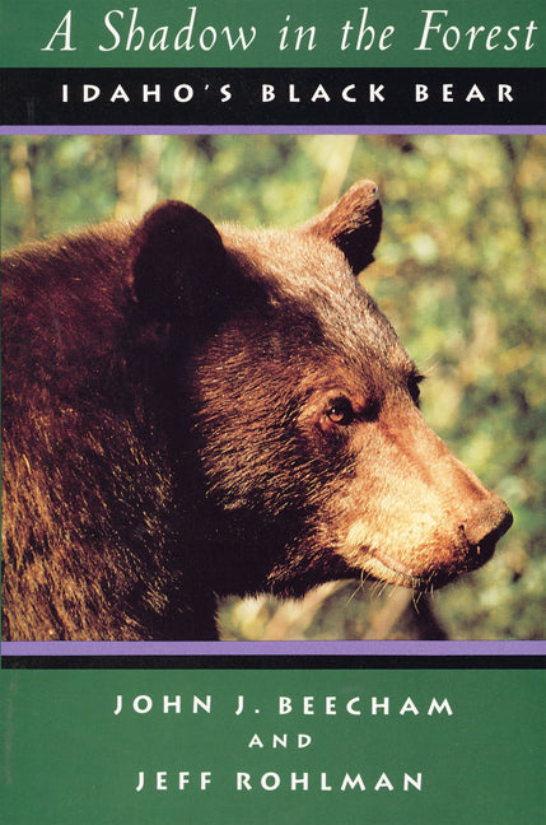 A Shadow in the Forest: Idaho's Black Bear