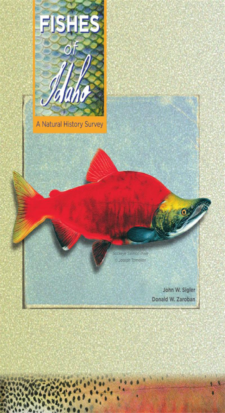 Fishes of Idaho: A Natural History Survey